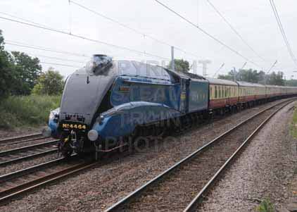 Purchase photo of 4464 BITTERN at Welham Green